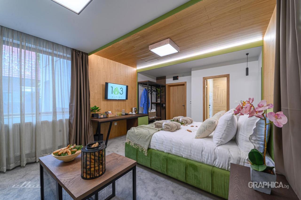 103 Alpine Hotel Panichishte Bagian luar foto
