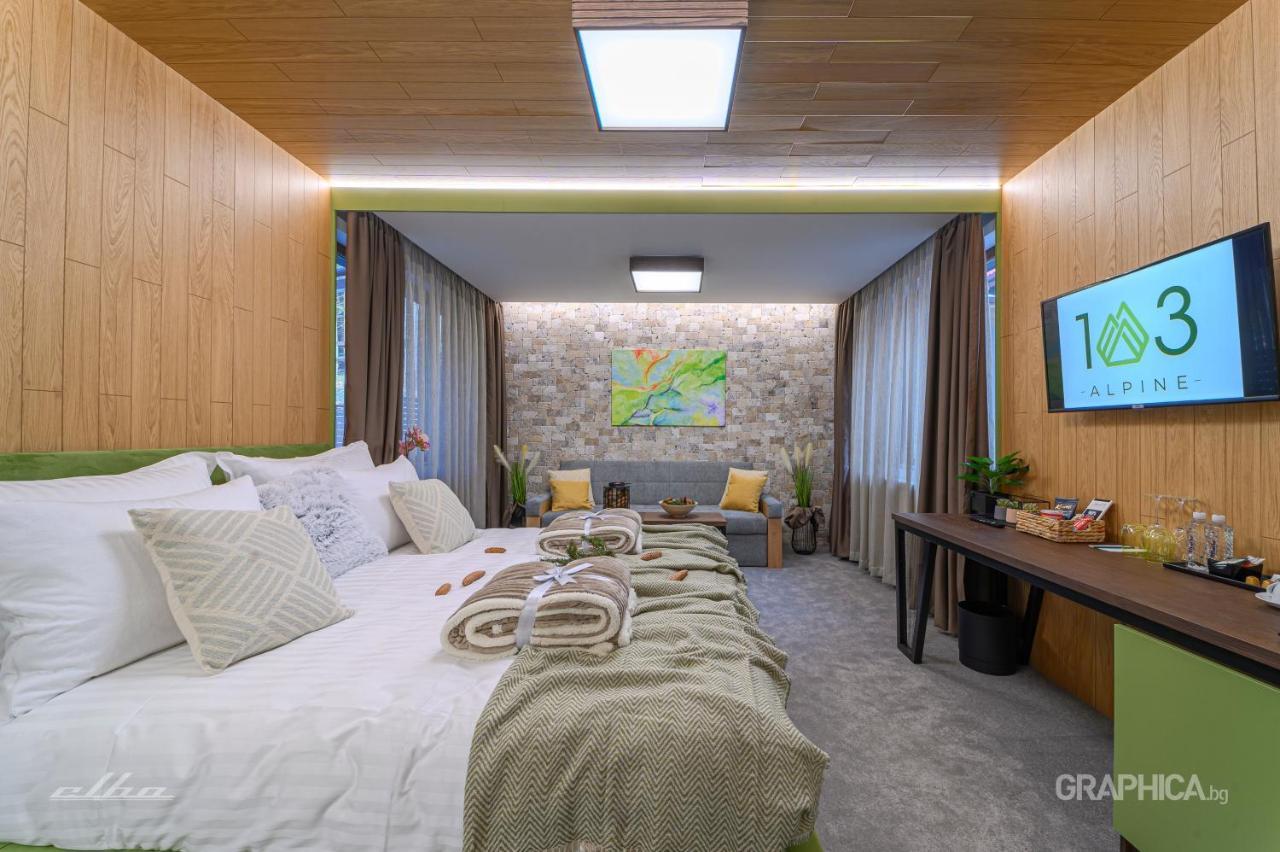 103 Alpine Hotel Panichishte Bagian luar foto