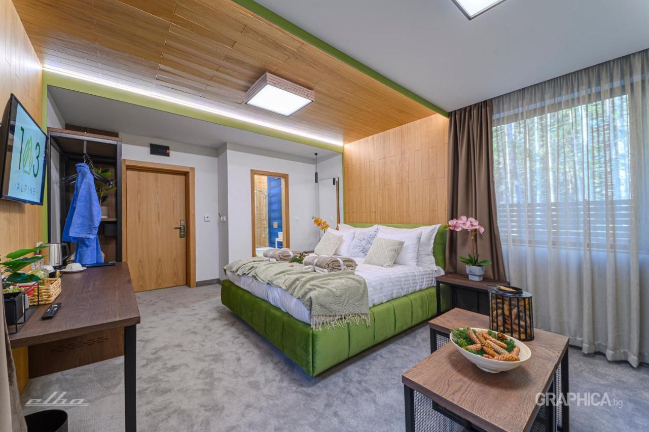 103 Alpine Hotel Panichishte Bagian luar foto