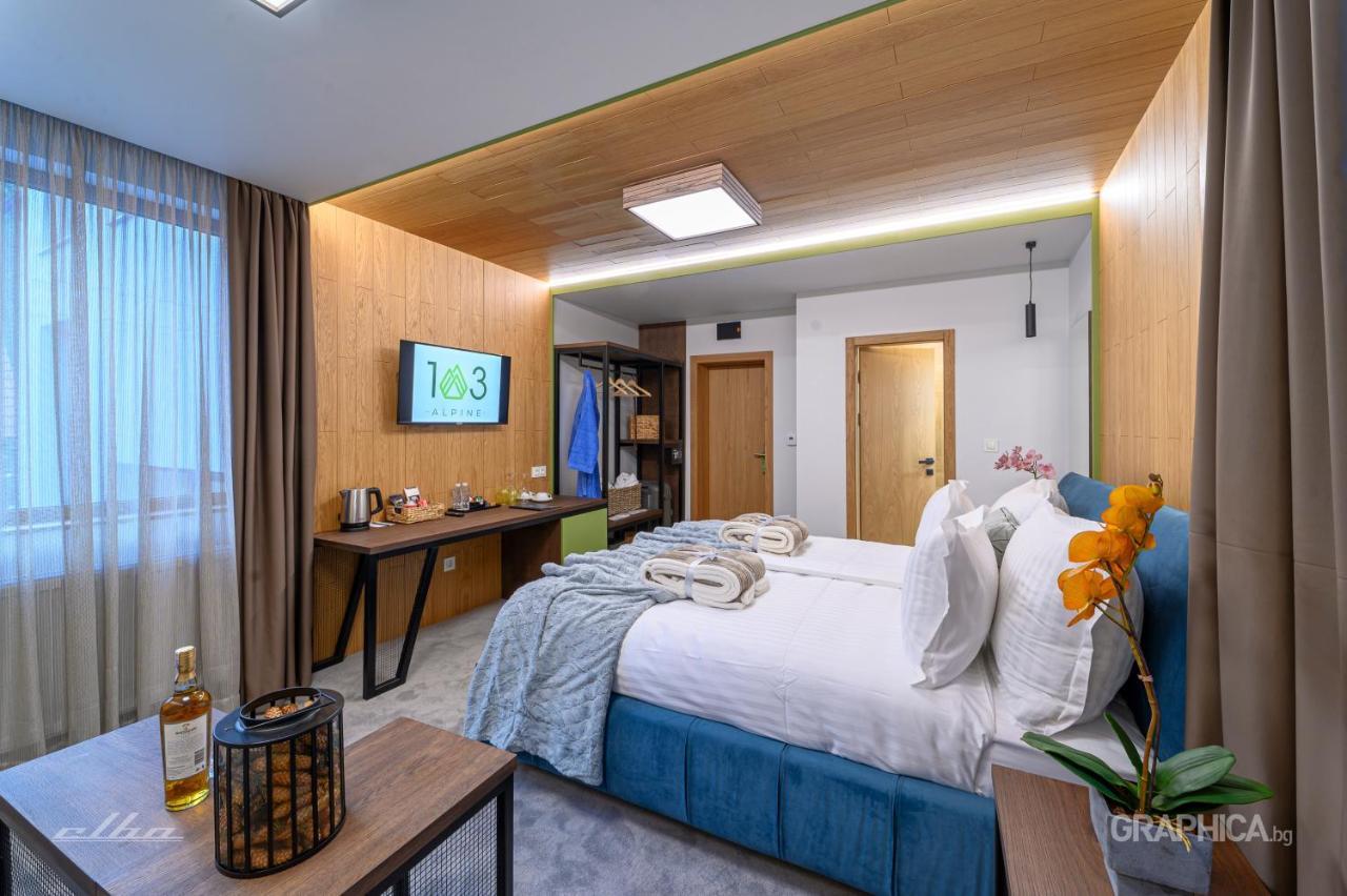 103 Alpine Hotel Panichishte Bagian luar foto