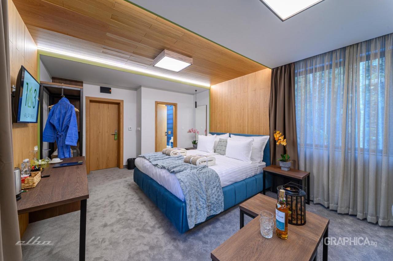 103 Alpine Hotel Panichishte Bagian luar foto
