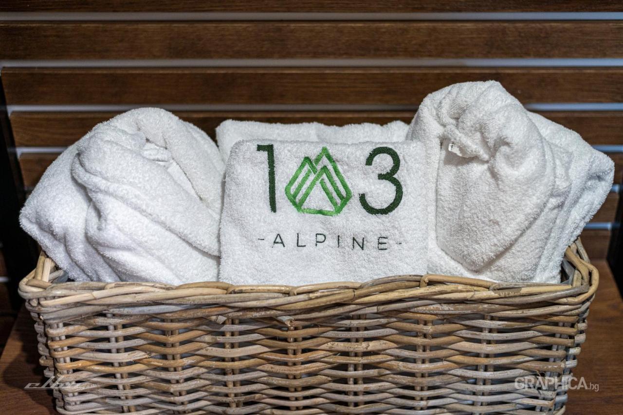 103 Alpine Hotel Panichishte Bagian luar foto